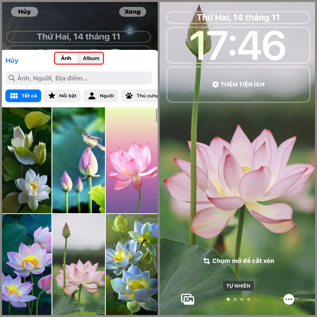 75 Ảnh hoa sen đẹp làm hình nền cho điện thoại đẹp nhất 2023  METAvn