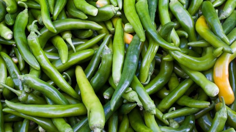 Giá ớt hôm nay 14/11/2022 mới nhất