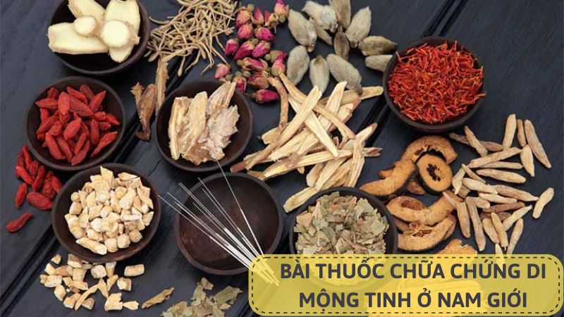 Bài thuốc chữa di mộng tinh ở nam giới (hình ảnh minh họa)