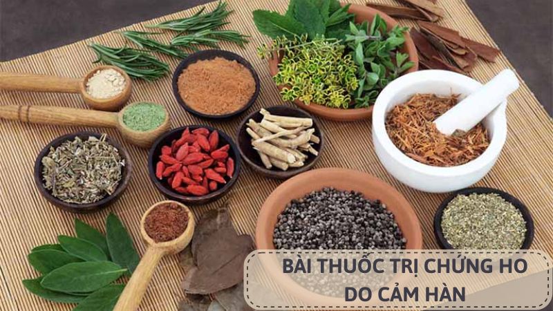 Bài thuốc trị chứng ho do cảm hàn (hình ảnh minh họa)