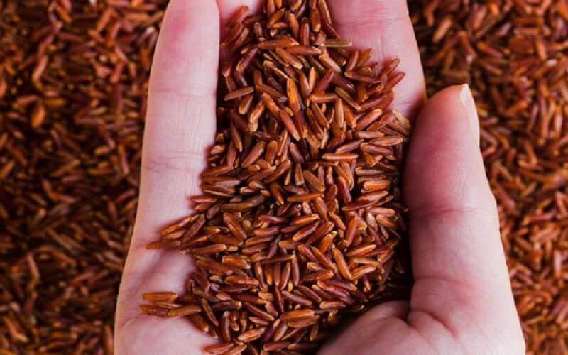 Gạo lứt đỏ chứa nhiều dưỡng chất có lợi cho sức khỏe
