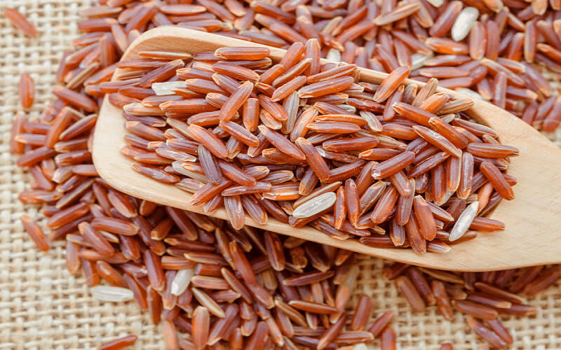Bảo quản gạo lứt đỏ đúng cách sẽ giúp giữ chất lượng và dinh dưỡng gạo