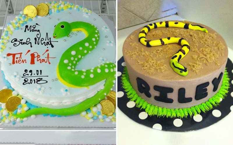 Simple and cute snake birthday cake