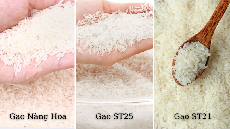 Cách nhận biết gạo Nàng Hoa với các loại gạo khác