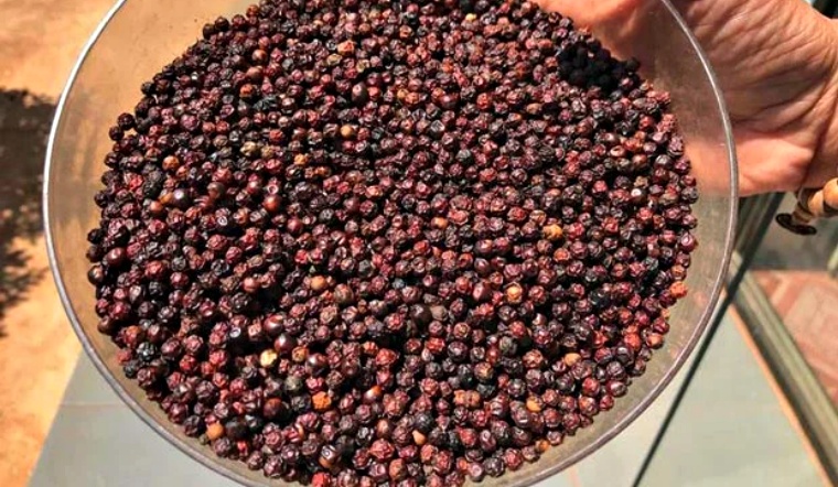 Giá tiêu hôm nay 15/11/2022: Tiếp tục đi ngang, dao động 58.500-62.000 đồng/kg