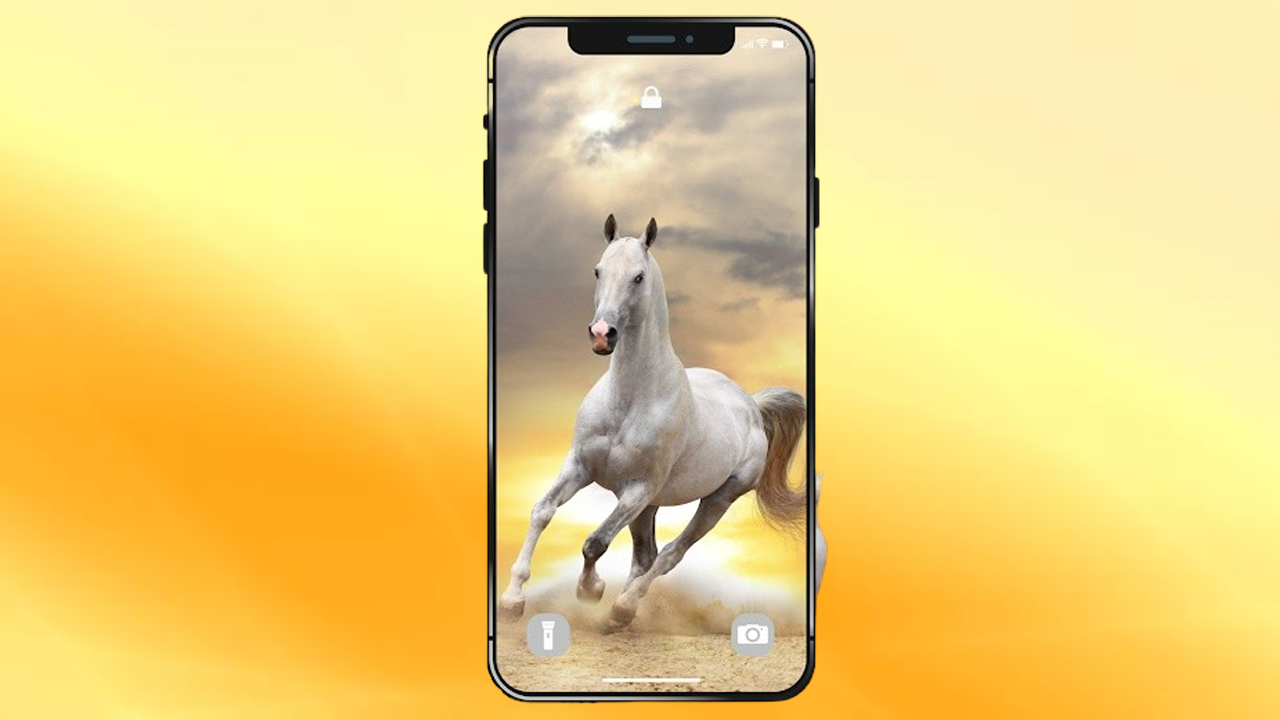 Hình nền ngựa cho iPhone đẹp nhất với chất lượng lên đến 4K, tải ngay!