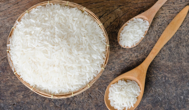 Giá lúa gạo hôm nay 15/11/2022: Lúa OM 18 tăng 200 đồng/kg