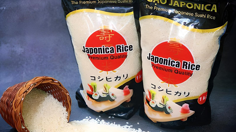 Nguồn gốc gạo Japonica