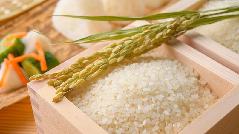Giá trị dinh dưỡng của gạo Japonica