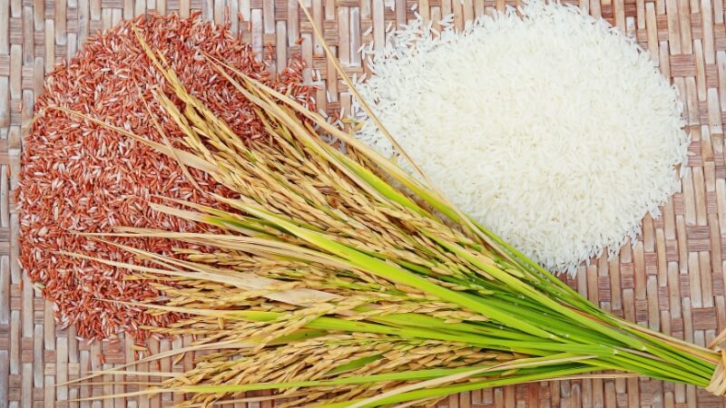 Giá gạo hôm nay 16/11