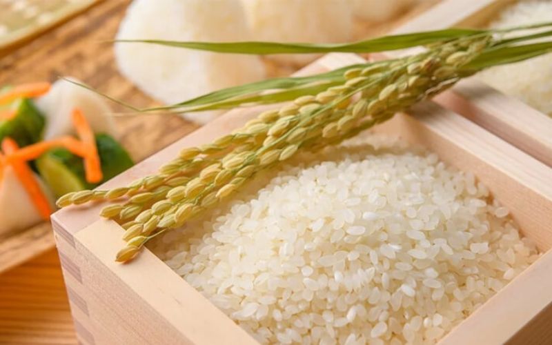 Mua gạo Neptune ở đâu chính hãng, giá tốt?