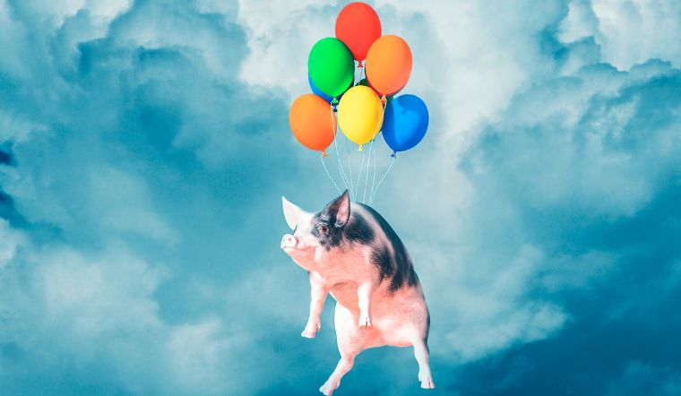 Giá heo hơi hôm nay 17/11/2022: Biến động trái chiều