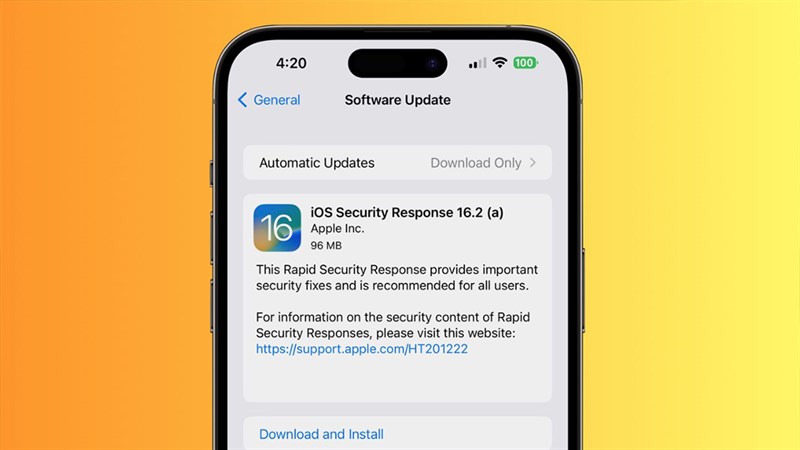 Hình ảnh bản cập nhật phản hồi nhanh