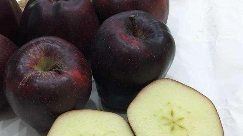 Black diamond apple is fragrant and has a characteristic taste