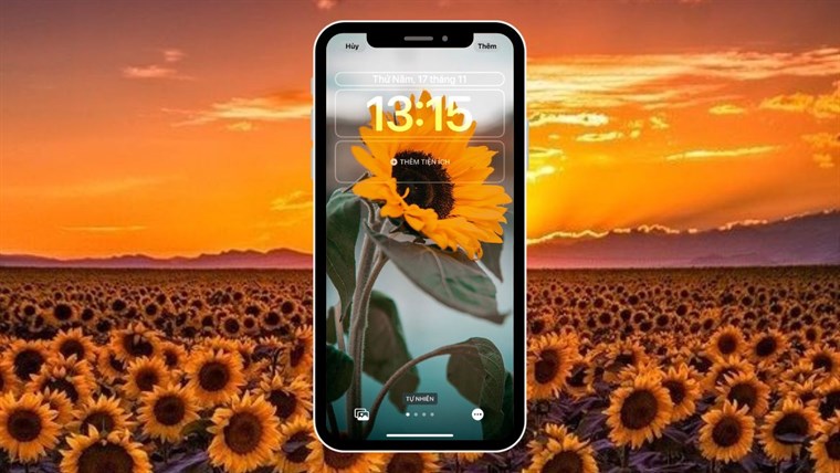 iPhone của bạn sẽ trở nên nổi bật và ấn tượng hơn với hình nền hoa hướng dương đẹp mắt. Bao quanh điện thoại với những cánh hoa vàng để tạo nên một không gian đầy màu sắc.