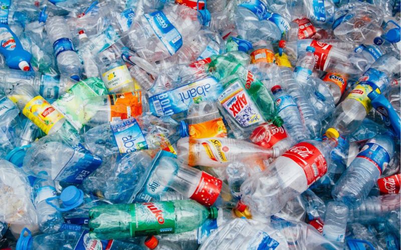 Không nên vứt các đồ dùng bằng nhựa vào thùng rác