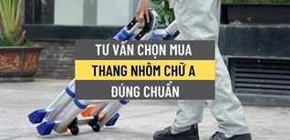 Top 5 hãng thang nhôm chữ A đáng mua nhất hiện nay