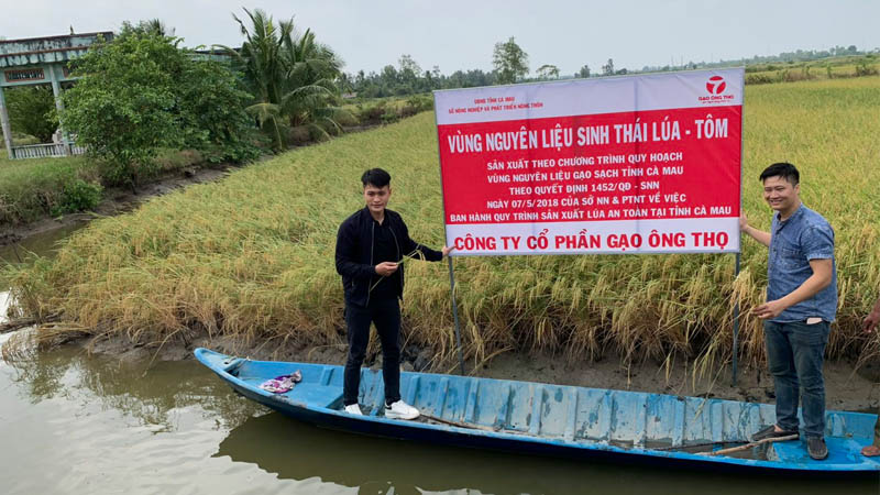 Ưu điểm của gạo Ông Thọ