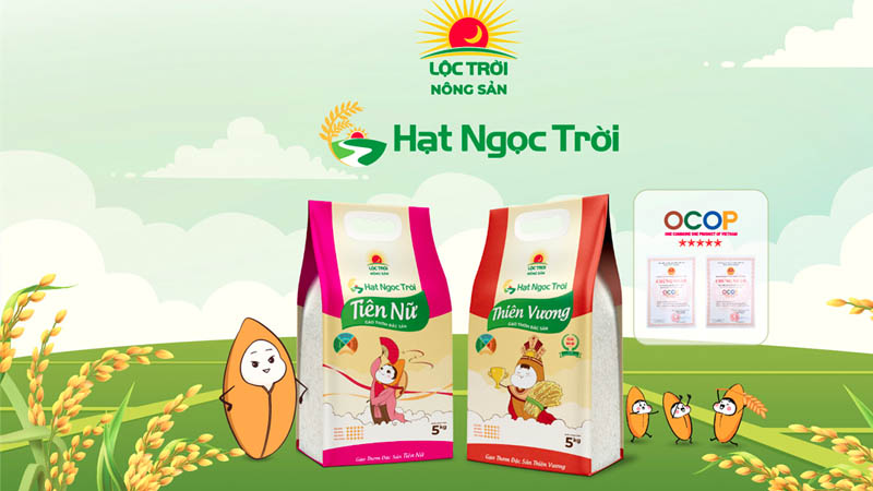 Top 5 best quality Ngoc Troi seed rice products today