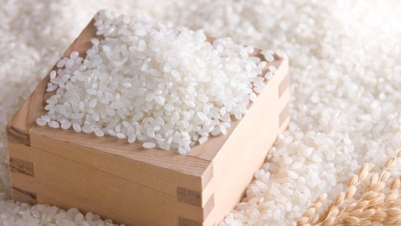 Mua gạo PMT ở đâu chính hãng, giá tốt? Mua gạo PMT ở đâu chính hãng, giá tốt?