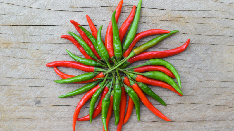 Giá ớt hôm nay 21/11/2022 mới nhất