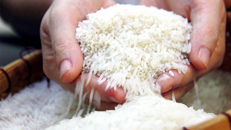 Các loại gạo Thiên Kim