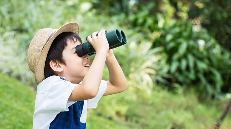 Rèn luyện phản xạ, sự quan sát cho trẻ