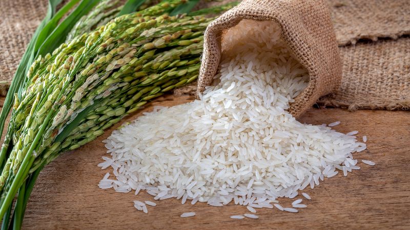 Cách phân biệt gạo Lạc Việt thật giả