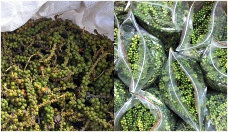 Giá tiêu hôm nay 23/11/2022: Ổn định, dao động 58.000-61.500 đồng/kg