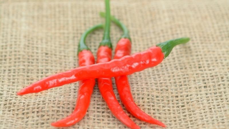 Giá ớt hôm nay 23/11/2022 mới nhất