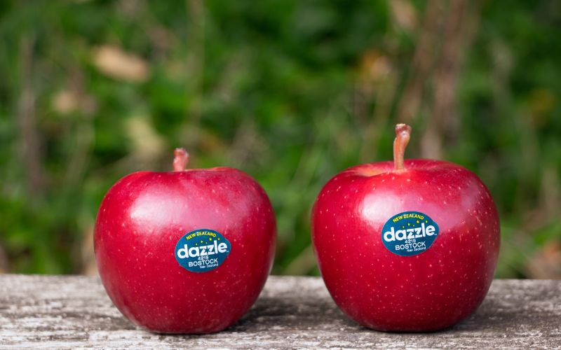 What is Dazzel Apple? How much is apple dazzel? Where do you buy it?