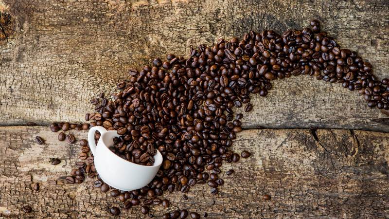 Giá cà phê trong nước hôm nay