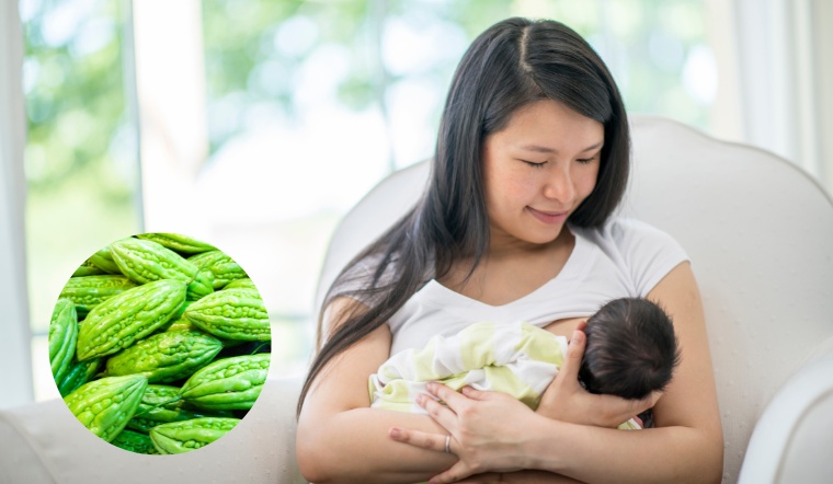 Đang nuôi con bằng sữa mẹ mà ăn khổ qua có mất sữa không?