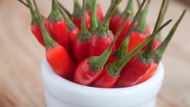 Giá ớt hôm nay 24/11/2022 mới nhất