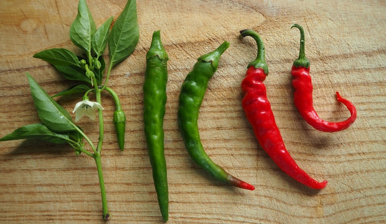 Giá ớt hôm nay 24/11/2022: Thị trường không biến động