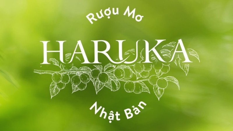 Đôi nét về thương hiệu Haruka