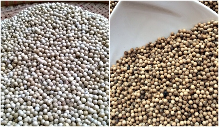 Giá tiêu hôm nay 28/11/2022: Ổn định, dao động 58.500-62.000 đồng/kg