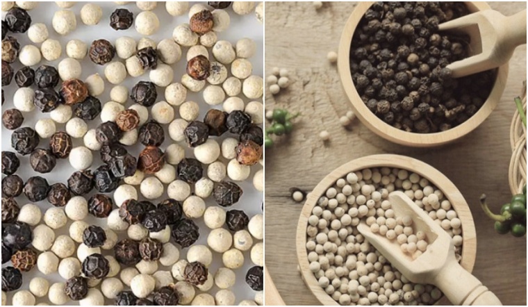 Giá tiêu hôm nay 29/11/2022: Tăng 1.000 đồng/kg, dao động 59.500-63.000 đồng/kg