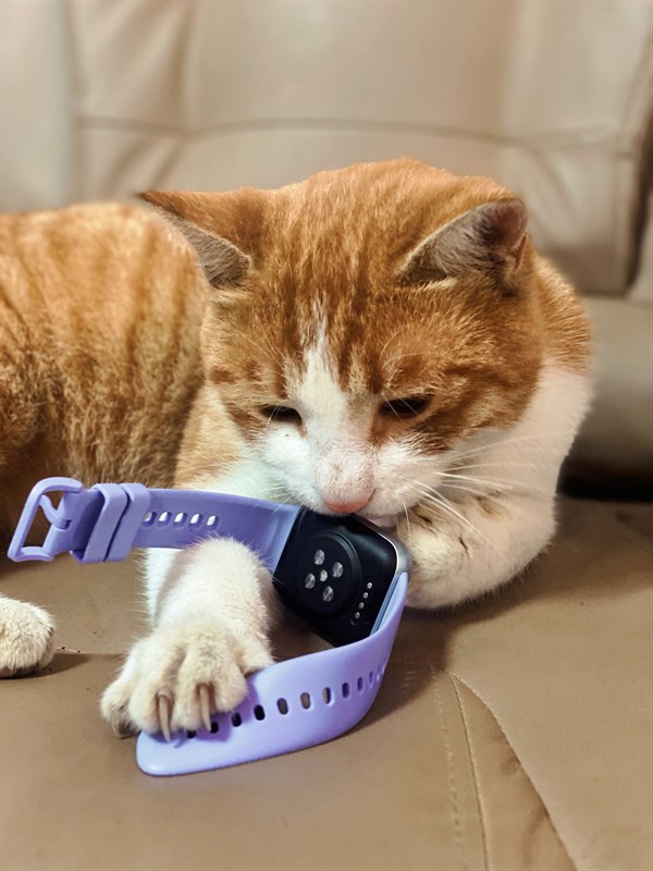 Trên tay OPPO Watch SE