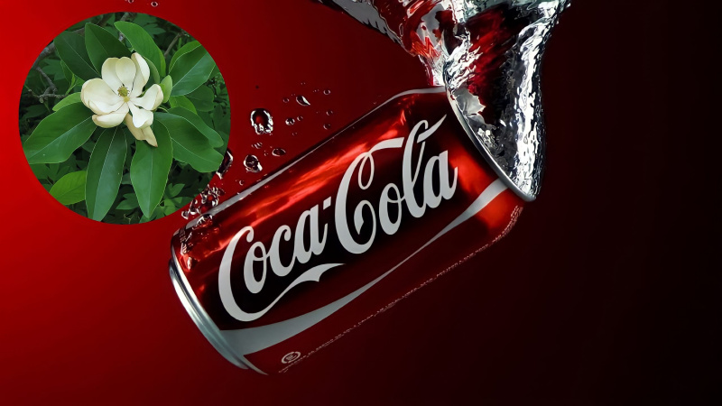 Coca giúp kích thích cây tăng trưởng nhanh và ra hoa sớm