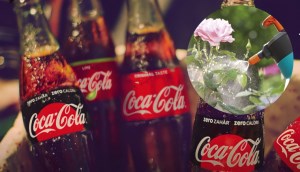 Coca không chỉ để uống mà còn có thể chăm sóc cây rất hiệu quả