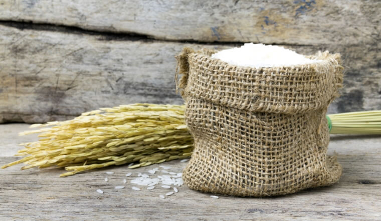 Giá lúa gạo hôm nay 1/12/2022: Tăng 100 đồng/kg trên vài giống lúa