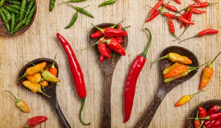 Giá ớt hôm nay 01/12/2022: Giá ớt cả nước vẫn tiếp tục đi ngang