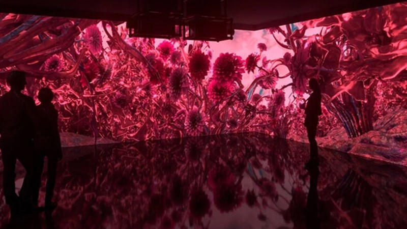 Màu Viva Magenta đã xuất hiện từ lâu trong tự nhiên