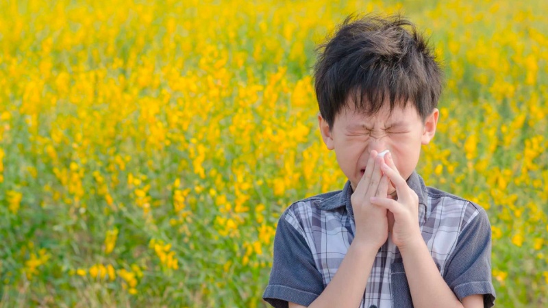 Cách phòng ngừa dị ứng phấn hoa và lông thú cho trẻ em
