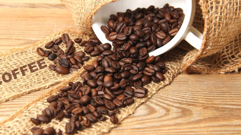 Giá cà phê trong nước hôm nay