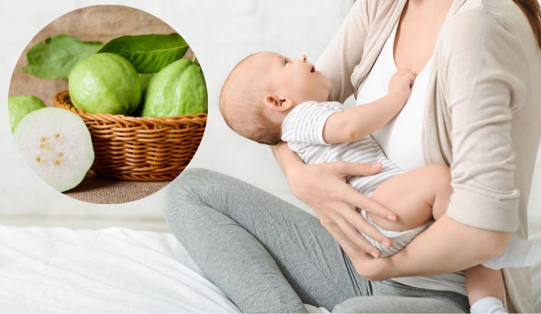 Phụ nữ sau sinh ăn ổi được không, hàm lượng dinh dưỡng của trái ổi