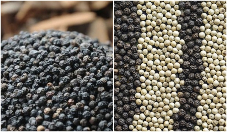 Giá tiêu hôm nay 4/12/2022: Vẫn giữ nguyên, dao động 60.000-63.000 đồng/kg