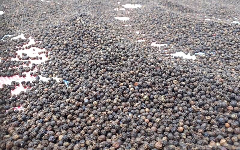 Giá tiêu thế giới