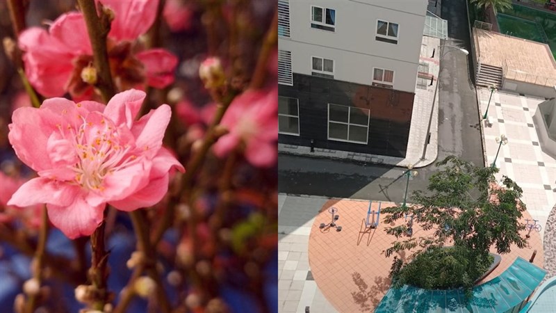 So sánh ảnh chụp